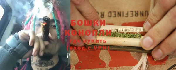 шишки Снежногорск