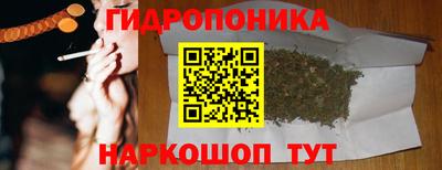 гашик Кимры