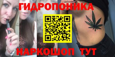 гашик Кимры