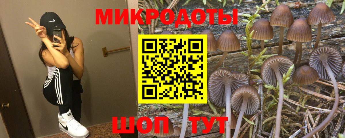 Псилоцибиновые грибы Cubensis Саратов